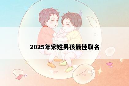 2025年宋姓男孩最佳取名