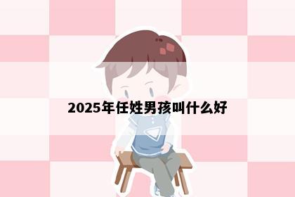 2025年任姓男孩叫什么好