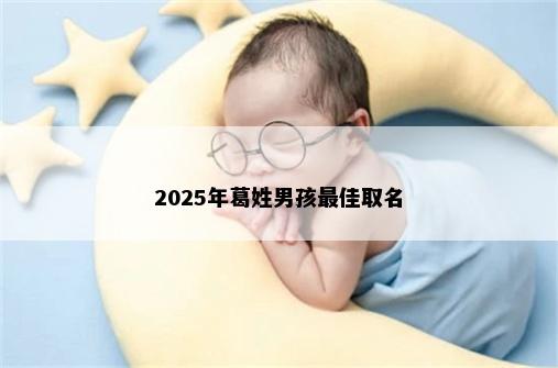 2025年葛姓男孩最佳取名