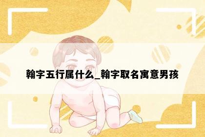翰字五行属什么_翰字取名寓意男孩
