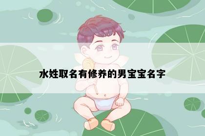 水姓取名有修养的男宝宝名字