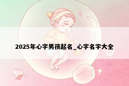 2025年心字男孩起名_心字名字大全