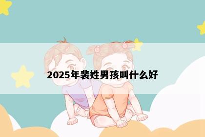 2025年裴姓男孩叫什么好