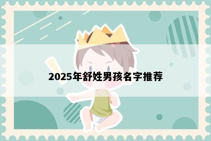 2025年舒姓男孩名字推荐