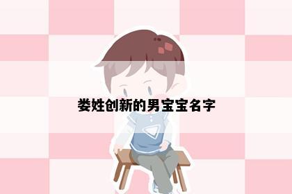 娄姓创新的男宝宝名字