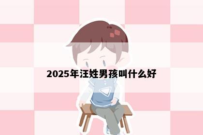 2025年汪姓男孩叫什么好