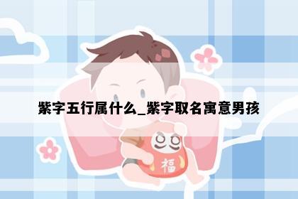 紫字五行属什么_紫字取名寓意男孩