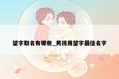 望字取名有哪些_男孩用望字最佳名字