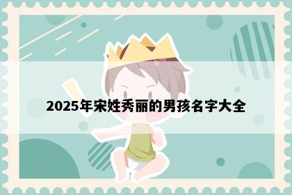 2025年宋姓秀丽的男孩名字大全