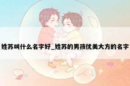姓苏叫什么名字好_姓苏的男孩优美大方的名字
