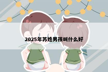 2025年苏姓男孩叫什么好