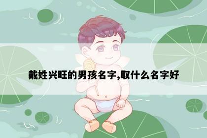 戴姓兴旺的男孩名字,取什么名字好