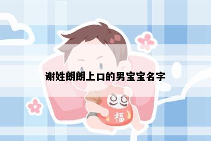谢姓朗朗上口的男宝宝名字
