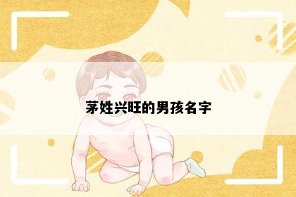 茅姓兴旺的男孩名字