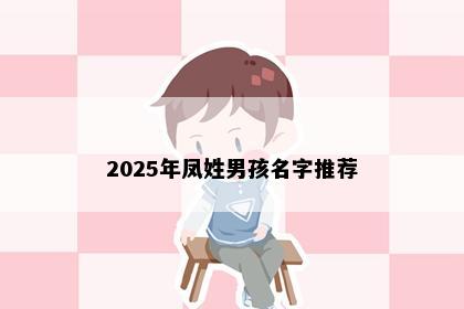 2025年凤姓男孩名字推荐