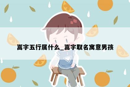 嵩字五行属什么_嵩字取名寓意男孩