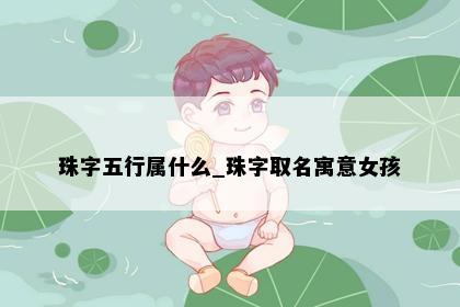 珠字五行属什么_珠字取名寓意女孩