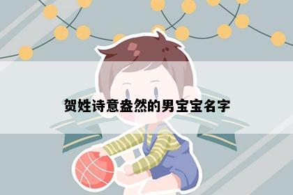 贺姓诗意盎然的男宝宝名字