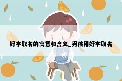 好字取名的寓意和含义_男孩用好字取名