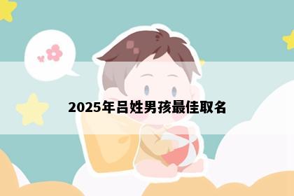 2025年吕姓男孩最佳取名