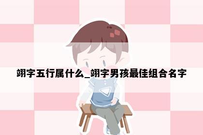 翊字五行属什么_翊字男孩最佳组合名字