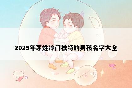 2025年茅姓冷门独特的男孩名字大全