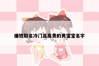 廉姓取名冷门且高贵的男宝宝名字
