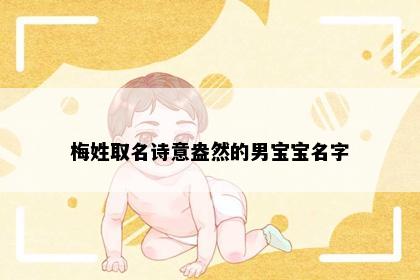 梅姓取名诗意盎然的男宝宝名字
