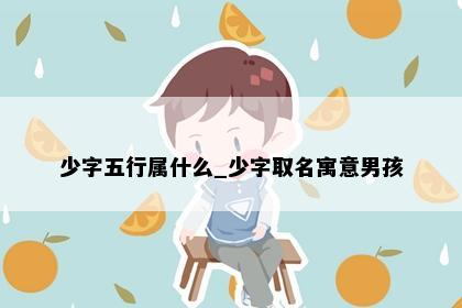 少字五行属什么_少字取名寓意男孩
