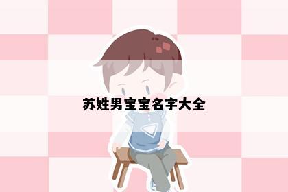 苏姓男宝宝名字大全