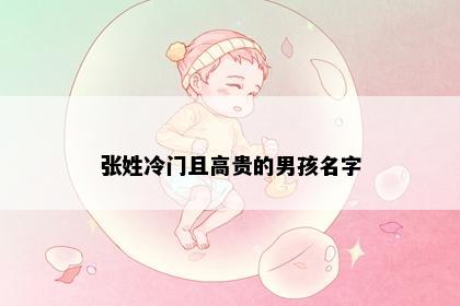 张姓冷门且高贵的男孩名字