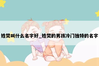 姓樊叫什么名字好_姓樊的男孩冷门独特的名字