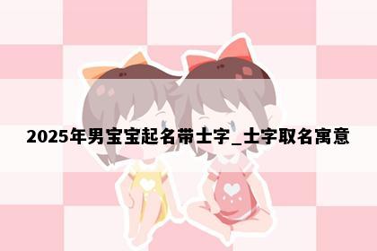 2025年男宝宝起名带士字_士字取名寓意