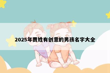 2025年贾姓有创意的男孩名字大全