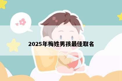 2025年梅姓男孩最佳取名
