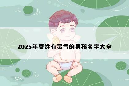 2025年夏姓有灵气的男孩名字大全
