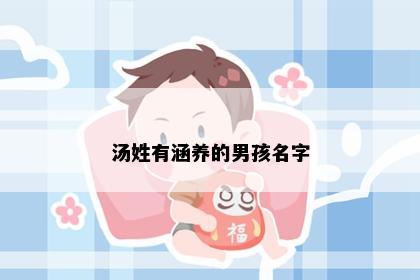 汤姓有涵养的男孩名字