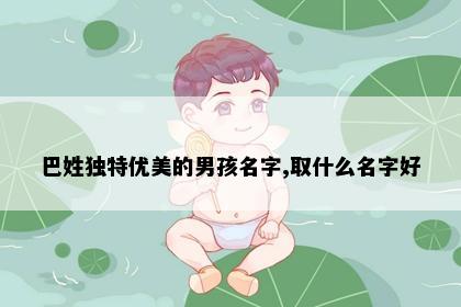 巴姓独特优美的男孩名字,取什么名字好