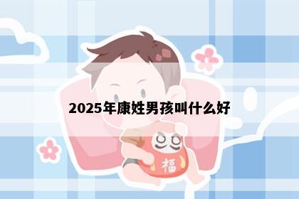 2025年康姓男孩叫什么好