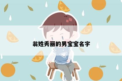 翁姓秀丽的男宝宝名字