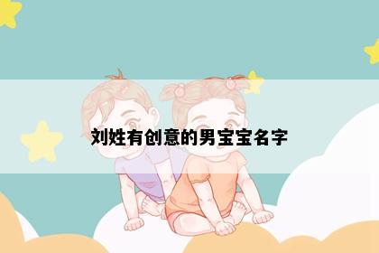 刘姓有创意的男宝宝名字
