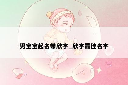 男宝宝起名带欣字_欣字最佳名字
