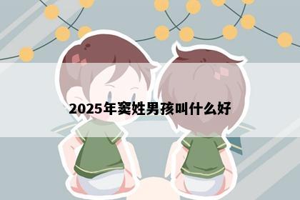 2025年窦姓男孩叫什么好