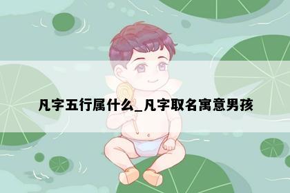凡字五行属什么_凡字取名寓意男孩