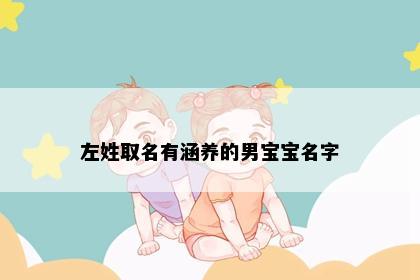 左姓取名有涵养的男宝宝名字