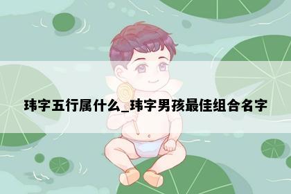 玮字五行属什么_玮字男孩最佳组合名字