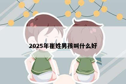 2025年崔姓男孩叫什么好