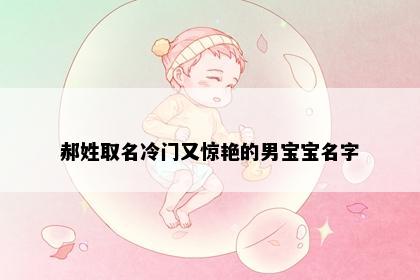 郝姓取名冷门又惊艳的男宝宝名字