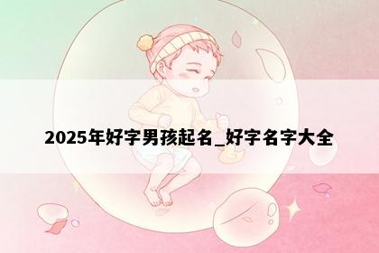 2025年好字男孩起名_好字名字大全