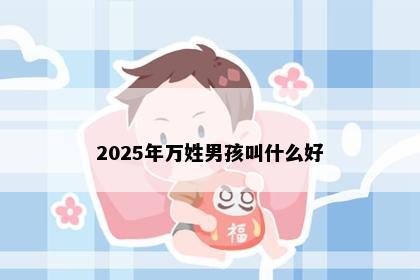 2025年万姓男孩叫什么好